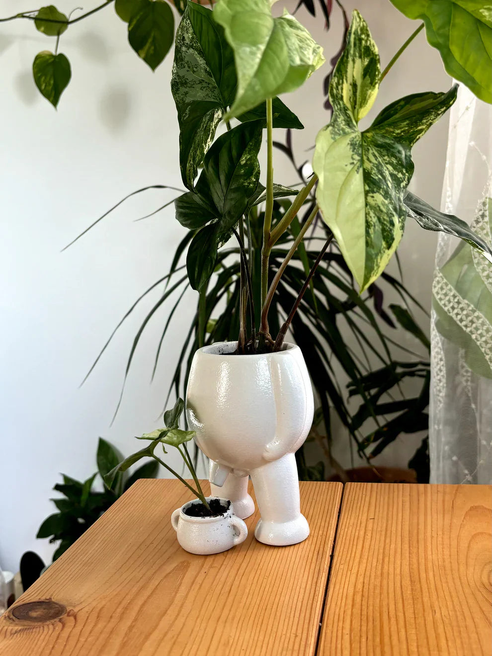 Faugettt Ceramic Relief Pot & Potty